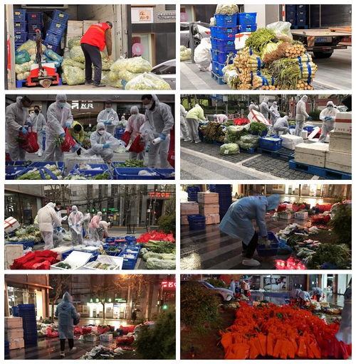 十年如一日，守护餐桌上的新鲜安心——钱大妈的坚守与养生服务新篇章