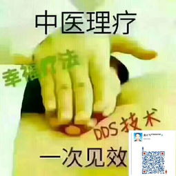 中医养生保健服务 传统智慧与现代生活的优雅融合