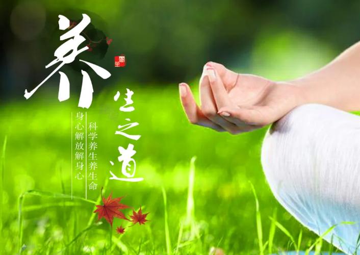 养生保健服务 从行业现状到未来趋势的全景解析
